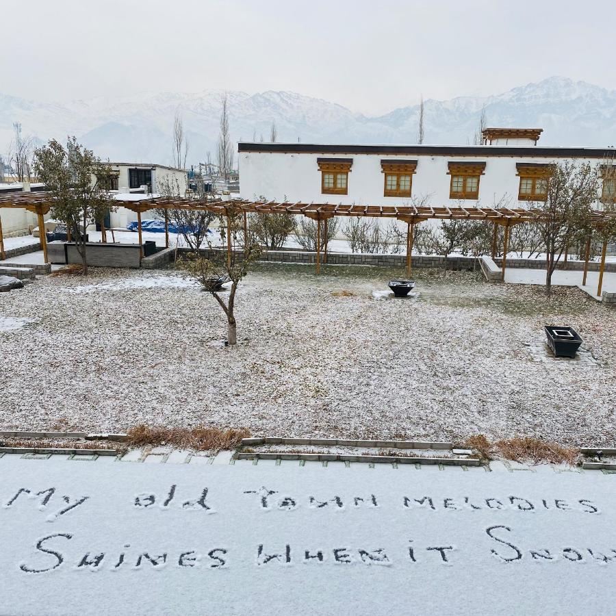 The Grand Dragon Ladakh 5* Leh
